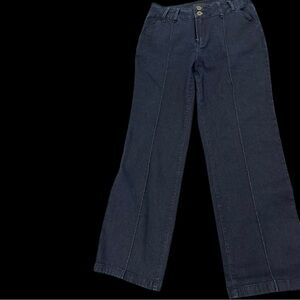 Diane Gilman DG2 Woman’s Jeans. Size 10
Like New!